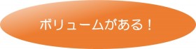 ボリュームがある！