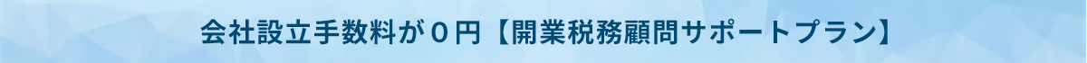 アライン税理士法人_開業税務顧問サポートプラン